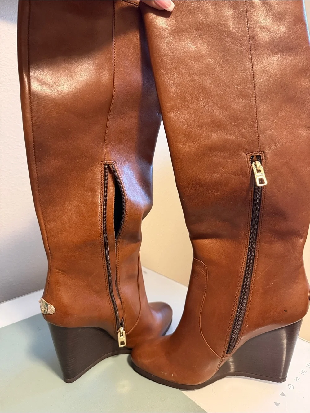 Coach Women's Tall Wedge Knee-High Boot in Brown
